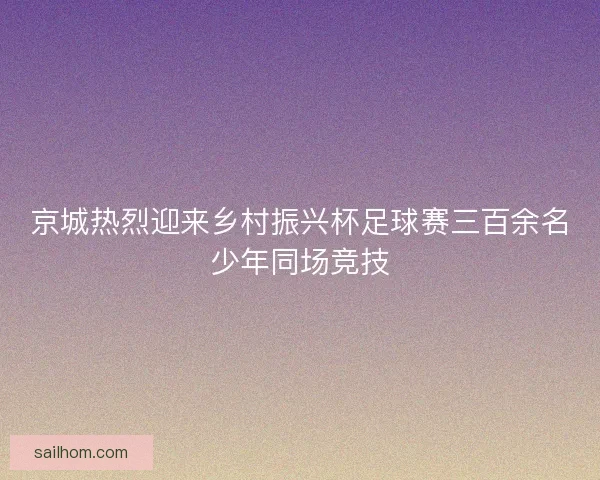 京城热烈迎来乡村振兴杯足球赛三百余名少年同场竞技